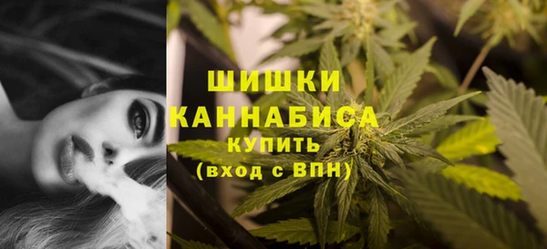 винт Протвино