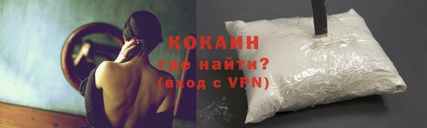 прущие крисы Абаза